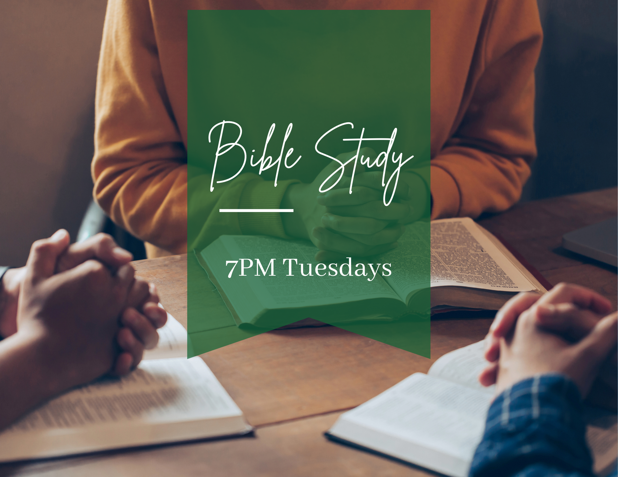 bible study (7)